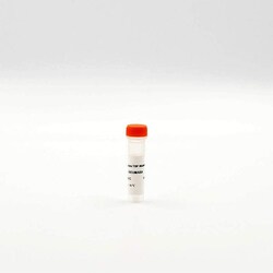 Revvity Health Sciences Inc HTRF Anti-Europium TBP Maleimide Labeling Reagent, 100 Âµg