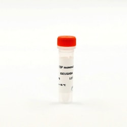 Revvity Health Sciences Inc HTRF Anti-Europium NHS Labeling Reagent, 1