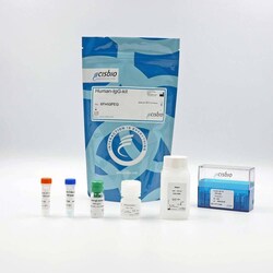 Revvity Health Sciences Inc HTRF Human IgG Detection Kit, 10,000 Assay
