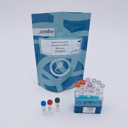 Revvity Health Sciences Inc&nbsp;HTRF Human & Mouse Phospho-&alpha;-Synuclein (Ser129) Detection Kit, 10,000 Assay Points