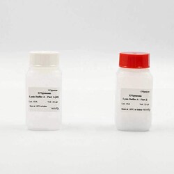 Revvity Health Sciences Inc HTRF EPIgeneous Epigenetics Lysis Buffer A, 500 Assay Points