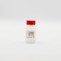 Revvity Health Sciences Inc HTRF EPIgeneous Epigenetics Lysis Buffer C, 500 Assay Points
