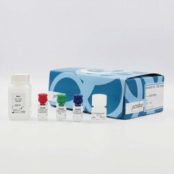Revvity Health Sciences Inc HTRF Estradiol Detection Kit, 500 Assay Points,