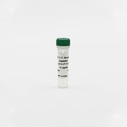 Revvity Health Sciences Inc HTRF Active GLP1 Detection Kit Standard, Quantity: