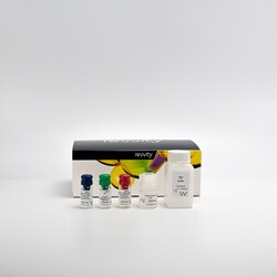 Revvity Health Sciences Inc HTRF cGMP Detection Kit, 500 Assay Points,