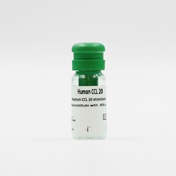 Revvity Health Sciences Inc HTRF Human CCL20 Detection Kit Standard, Quantity: