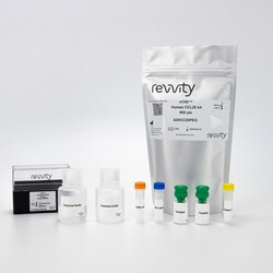 Revvity Health Sciences Inc&nbsp;HTRF Human CCL20 Detection Kit, 10,000 Assay Points