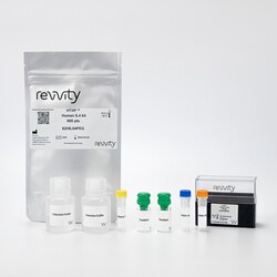 Revvity Health Sciences Inc HTRF Human IL-4 Detection Kit, 10,000 Assay