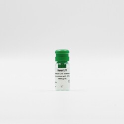 Revvity Health Sciences Inc HTRF Human IL-10 Detection Kit Standard, Quantity: