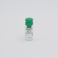 Revvity Health Sciences Inc&nbsp;HTRF Human IL13 Detection Kit Standard, 3 Vials