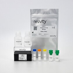 Revvity Health Sciences Inc HTRF Human IL-17 Detection Kit, 500 Assay Points,