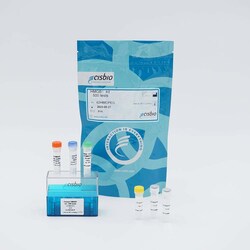 Revvity Health Sciences Inc HTRF HMGB1 Detection Kit, 10,000 Assay Points,