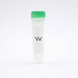 Revvity Health Sciences Inc HTRF Histamine Dynamic Acylation Reagent Diluent