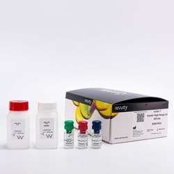 Revvity Health Sciences Inc HTRF Insulin High Range Detection Kit, 10,000