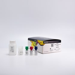 Revvity Health Sciences Inc&nbsp;HTRF Insulin Ultra Sensitive Detection Kit, 100,000 Assay Points