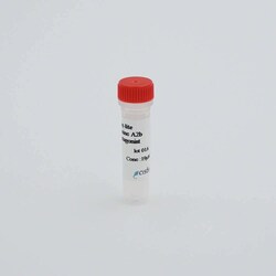Revvity Health Sciences Inc Adenosine A2BR fluorescent probe, 1 Unit, Quantity:
