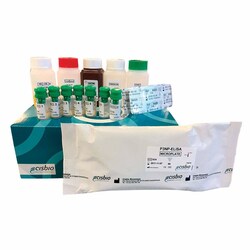 Revvity Health Sciences Inc HTRF Human PIIINP (Pro-Collagen 3 N-Perminal