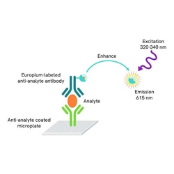 Revvity Health Sciences Inc DELFIA Eu-labeled Goat Anti-HRP Toolbox Kit,