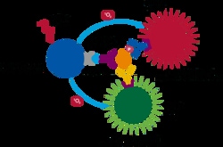 Revvity Health Sciences Inc AlphaLISA SureFire Ultra Multiplex Human ...