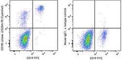 Biolegend PE/Cyanine5 anti-human CD185 (CXCR5), Quantity: Each of 1
