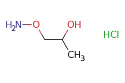 eMolecules​ 1-(Aminooxy)propan-2-ol hydrochloride | 950595-72-9 | MFCD27920818