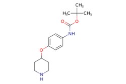 eMolecules​ tert-Butyl (4-(piperidin-4-yloxy)phenyl)carbamate | 1820604-09-8