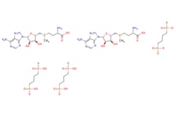 eMolecules​ SAMe-1,4-Butanedisulfonate | 101020-79-5 | MFCD11111819 | 1g,