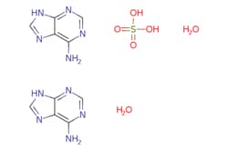 eMolecules​ 9H-Purin-6-amine hemisulfate dihydrate | 6509-19-9 | MFCD00213656