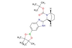 eMolecules​ 1256387-87-7 | (1R,3S,4S)-tert-Butyl 3-(6-(4,4,5,5-tetramethyl-1,3,2-dioxaborolan-2-yl)-1H-benzo[d]imidazol-2-yl)-2-azabicyclo[2.2.1]heptane-2-carboxylate