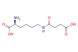eMolecules​ (S)-2-Amino-6-(3-carboxypropanamido)hexanoic acid | 52685-16-2