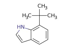 eMolecules​ 480436-44-0 | 7-(tert-Butyl)-1H-indole | MFCD20664166 | 1g,