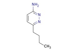 eMolecules​ 6-Butylpyridazin-3-amine | 1699465-06-9 | MFCD30189277 | 100mg,