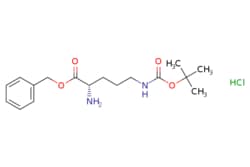 eMolecules​ H-Orn(Boc)-OBzl.HCl | 1998700-97-2 | MFCD30475839 | 1g, Quantity: