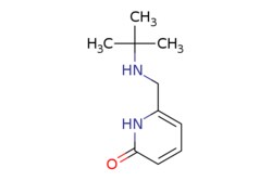 eMolecules​ 6-((tert-Butylamino)methyl)pyridin-2(1H)-one | 1697774-59-6 |  | 1g