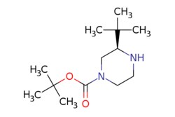 eMolecules​ 1240588-24-2 | (R)-tert-Butyl 3-(tert-butyl)piperazine-1-carboxylate