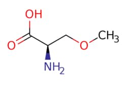eMolecules​ O-Methyl-D-serine | 86118-11-8 | MFCD08063275 | 1g, Quantity: