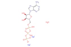 eMolecules​ Adenosine-5'-triphosphate disodium salt hydrate | 34369-07-8