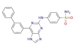 eMolecules​ 2079895-42-2 | 4-((6-([1,1'-Biphenyl]-3-yl)-7H-purin-2-yl)amino)benzenesulfonamide