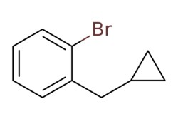 eMolecules​ 1-Bromo-2-(cyclopropylmethyl)benzene | 1889435-75-9 | | 250mg,