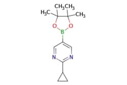 eMolecules​ 1375301-91-9 | 2-cyclopropyl-5-(tetramethyl-1,3,2-dioxaborolan-2-yl)pyrimidine