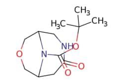 eMolecules​&nbsp;tert-butyl 4-oxo-8-oxa-3,10-diazabicyclo[4.3.1]decane-10-carboxylate | 1160248-56-5 | MFCD17016704 | 1g