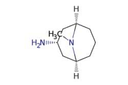 eMolecules​ exo-9-methyl-9-azabicyclo[3.3.1]nonan-3-amine | 76272-41-8