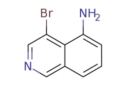eMolecules​ 16552-65-1 | 4-bromoisoquinolin-5-amine | MFCD11506153 | 1g,