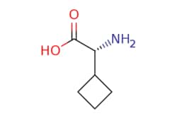 eMolecules​ 49607-10-5 | (2R)-2-amino-2-cyclobutyl-acetic acid | MFCD08436201