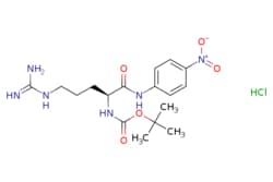 eMolecules​ 99306-64-6 | Boc-Arg-pNa.HCl | MFCD00143585 | 1g, Quantity: