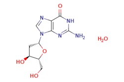 eMolecules​ 2'-Deoxyguanosine monohydrate | 312693-72-4 | | 1g, Quantity: