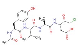 eMolecules​ 178603-78-6 | (4S,7S,10S,13S)-13-(2-Chloroacetyl)-4-(4-hydroxybenzyl)-7-isopropyl-10-methyl-2,5,8,11-tetraoxo-3,6,9,12-tetraazapentadecan-15-oic