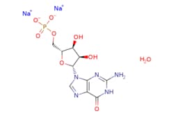 eMolecules​&nbsp;Guanosine 5'-phosphate disodium salt hydrate | 146894-16-8 | MFCD00151238 | 25g