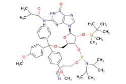 eMolecules​ I-bu-rG Phosphoramidite | 147201-04-5 | MFCD00080299 | 1g,