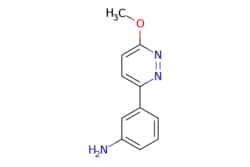eMolecules​&nbsp;3-(6-Methoxypyridazin-3-yl)aniline | 939428-11-2 | MFCD16652713 | 250mg